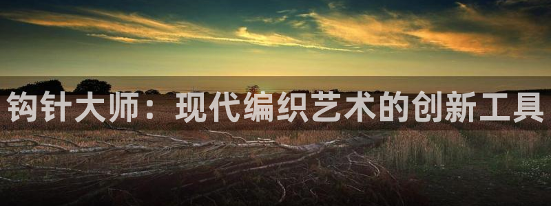 征途国际代理:钩针大师:现代编织艺术的创新工具