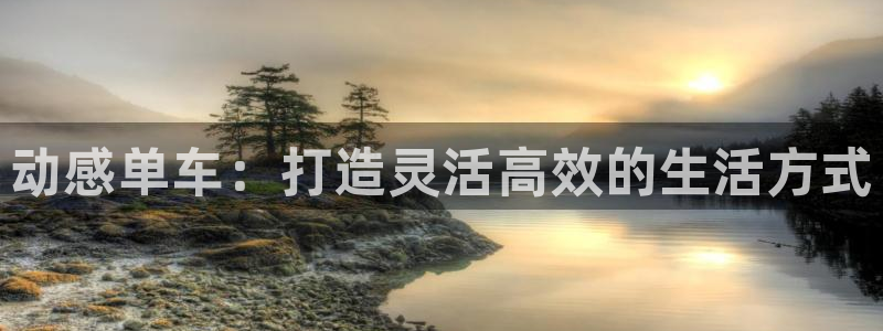 征途国际平台是正规平台吗安全吗:动感单车:打造灵活高效的生活